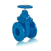 شیر فلکه کشویی چدنی داکتیل رینگ استیل فلنج دار فاراب  GATE VALVE GGG40 PN25