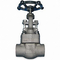گلوب ولو استنلس استیل ساكت ولد كلاس 800 GLOBE VALVE #800 STAINLESS STEEL S.W